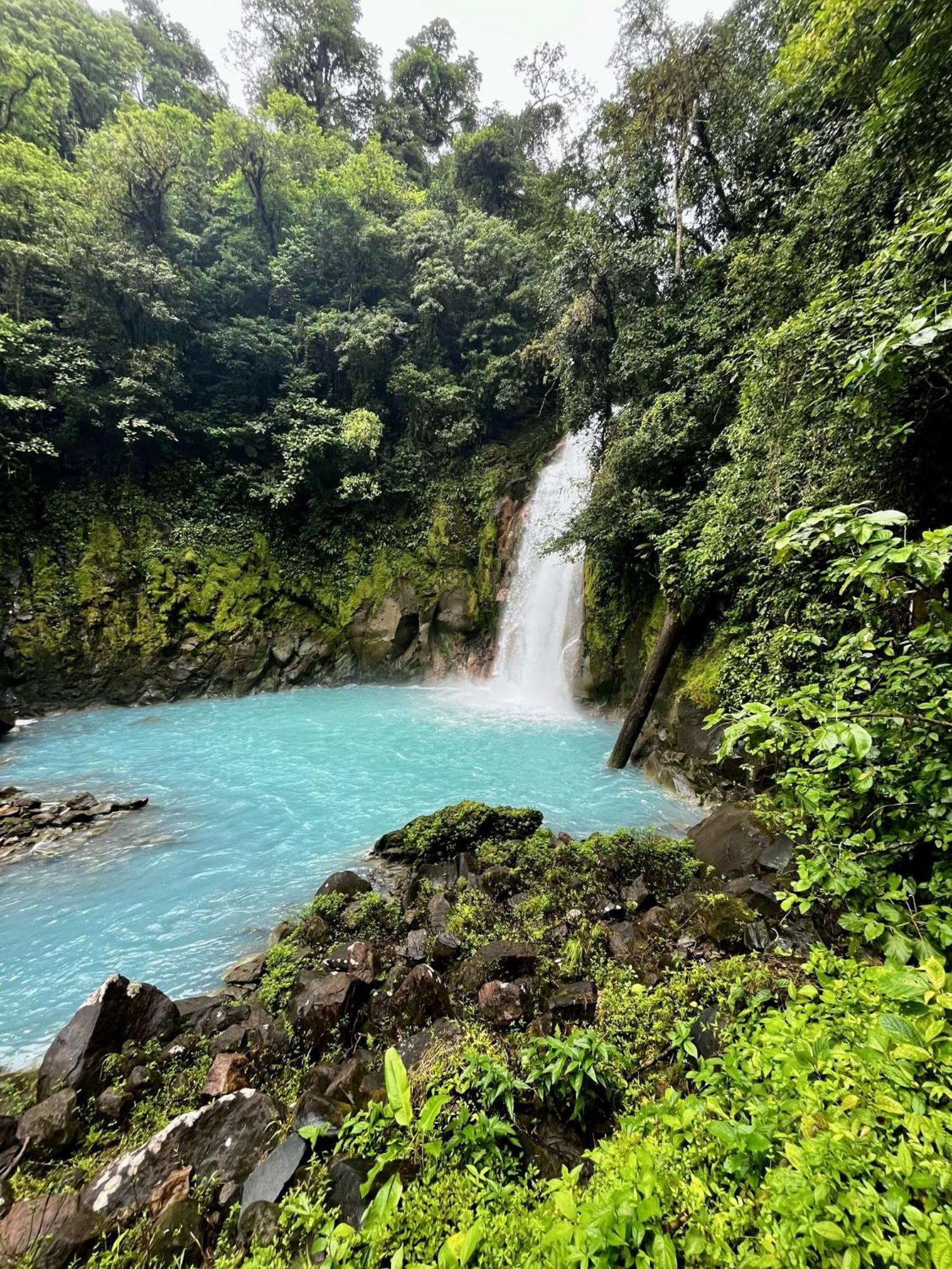 Kakao Lodge & Garden Rio Celeste Bijagua Eksteriør bilde
