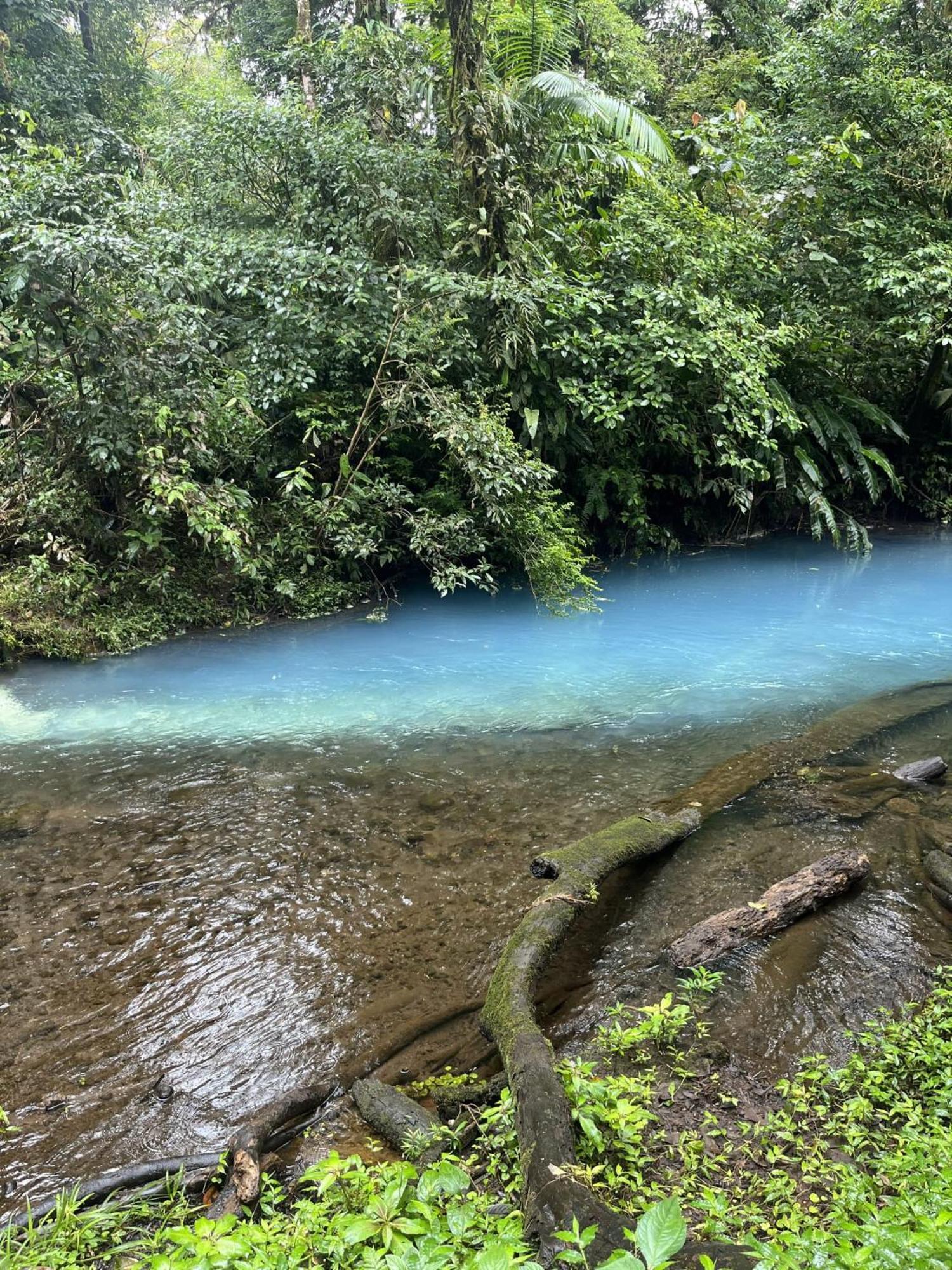 Kakao Lodge & Garden Rio Celeste Bijagua Eksteriør bilde