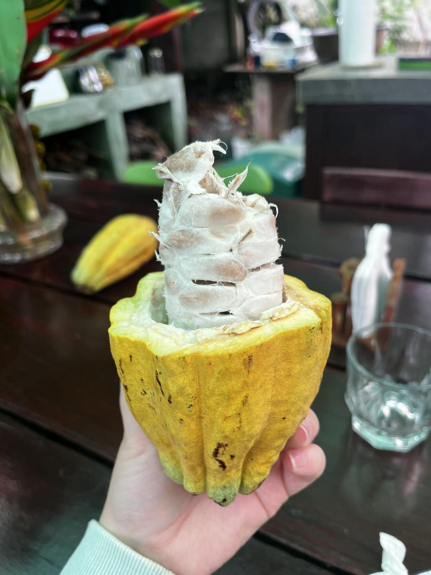 Kakao Lodge & Garden Rio Celeste Bijagua Eksteriør bilde